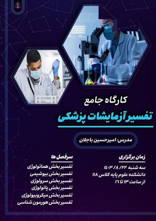 کارگاه جامع دو